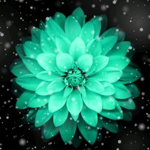 Meet your Posher, Kenia